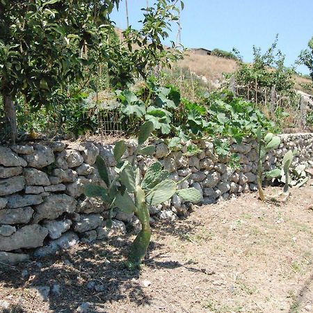 הוילה קולימברי Old Winery House מראה חיצוני תמונה