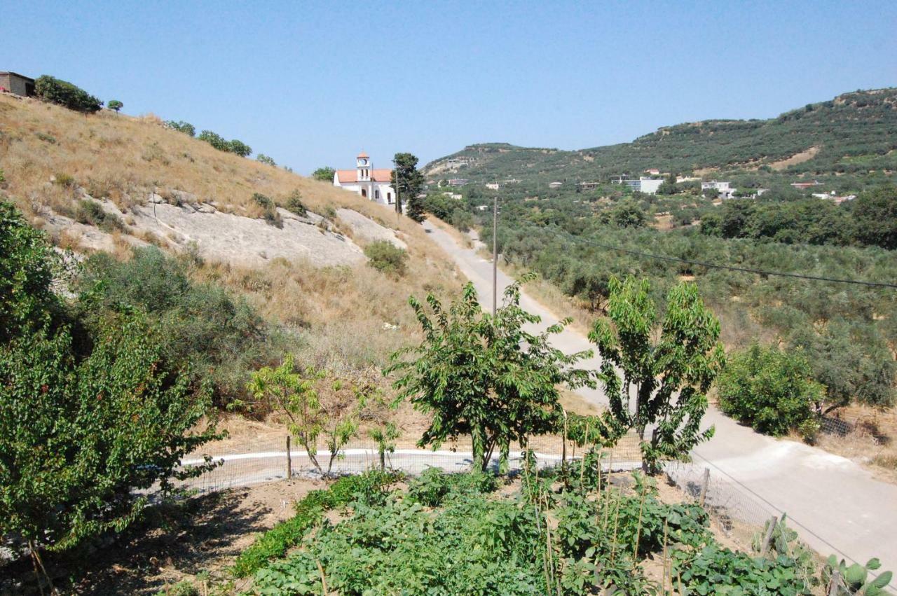 הוילה קולימברי Old Winery House מראה חיצוני תמונה