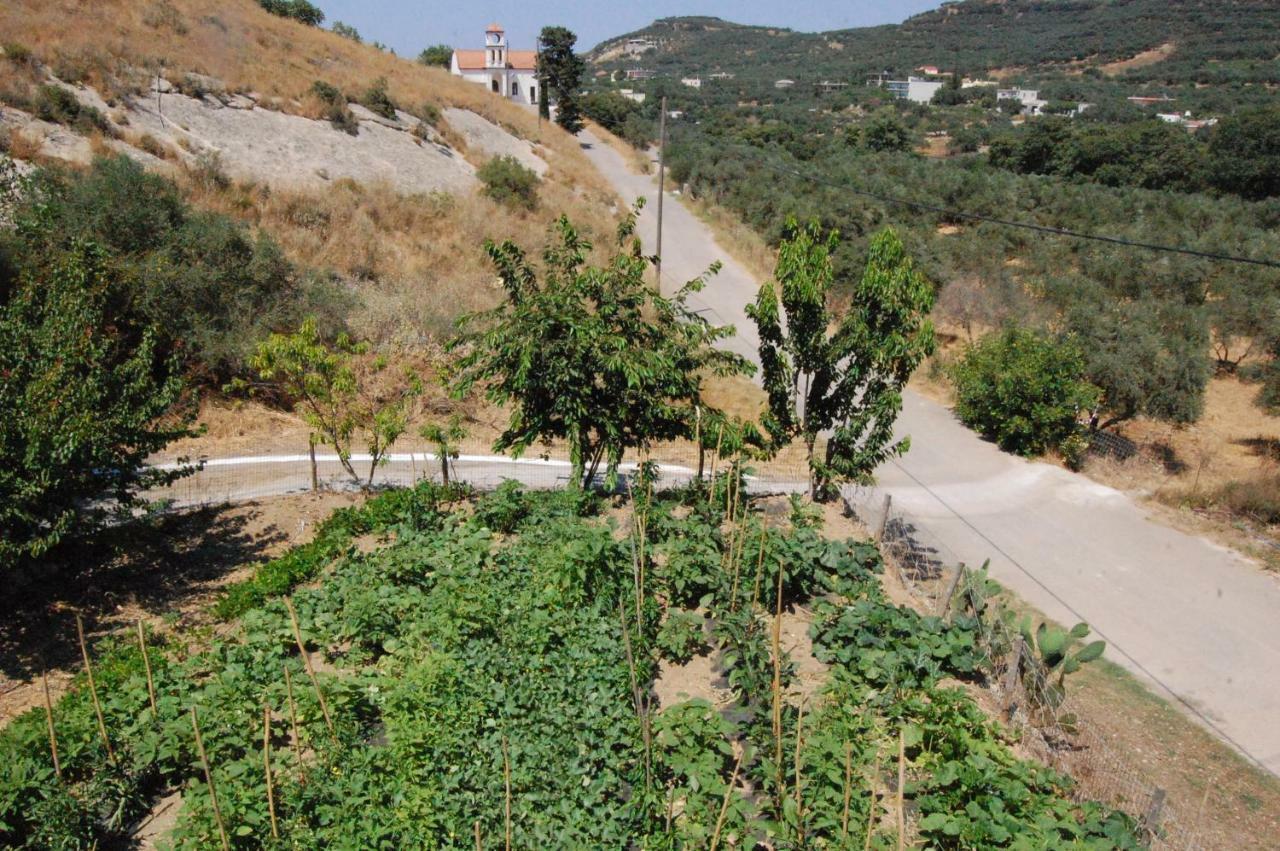הוילה קולימברי Old Winery House מראה חיצוני תמונה