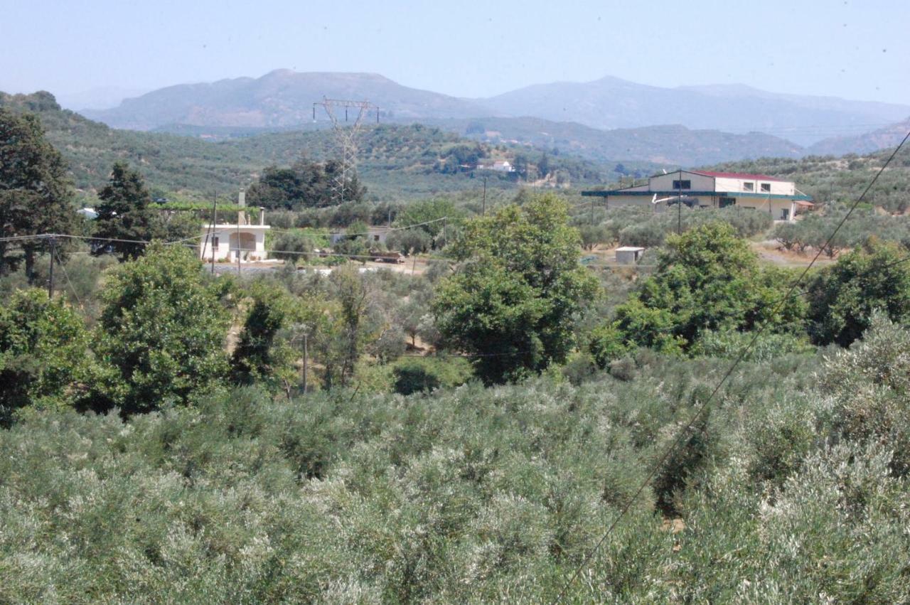 הוילה קולימברי Old Winery House מראה חיצוני תמונה